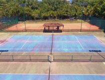 DJI_0479